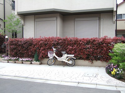 DSCF1279 DSCF1279